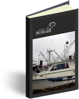 The Three Trials of Silent Lady cover